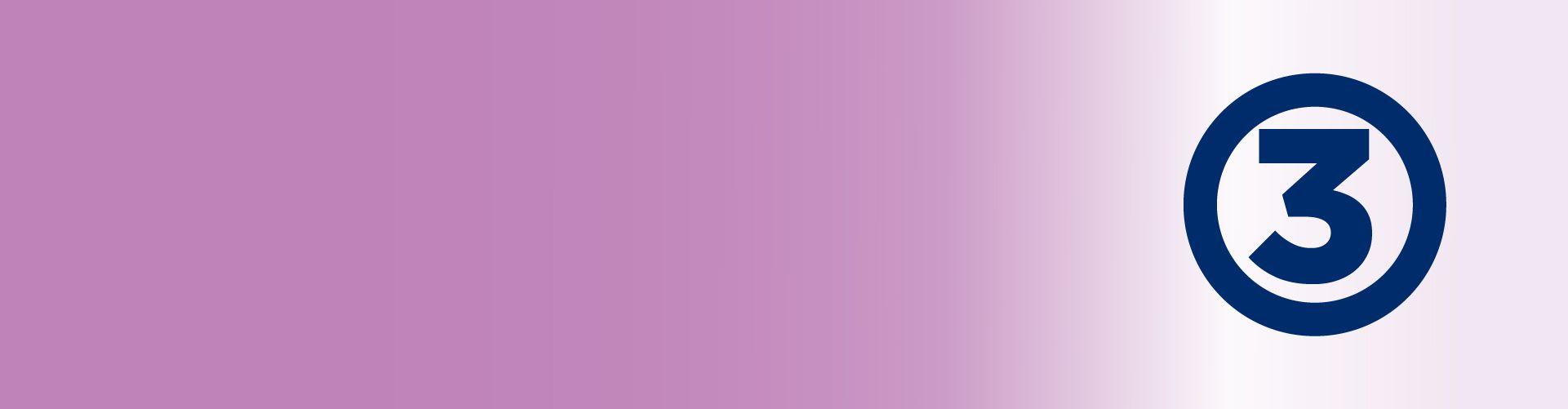 Passo 3 - Gestão de Dados