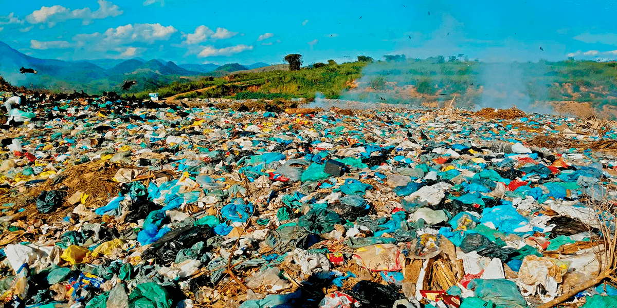 Sustentabilidade: o que falta para o lixo voltar a ter valor